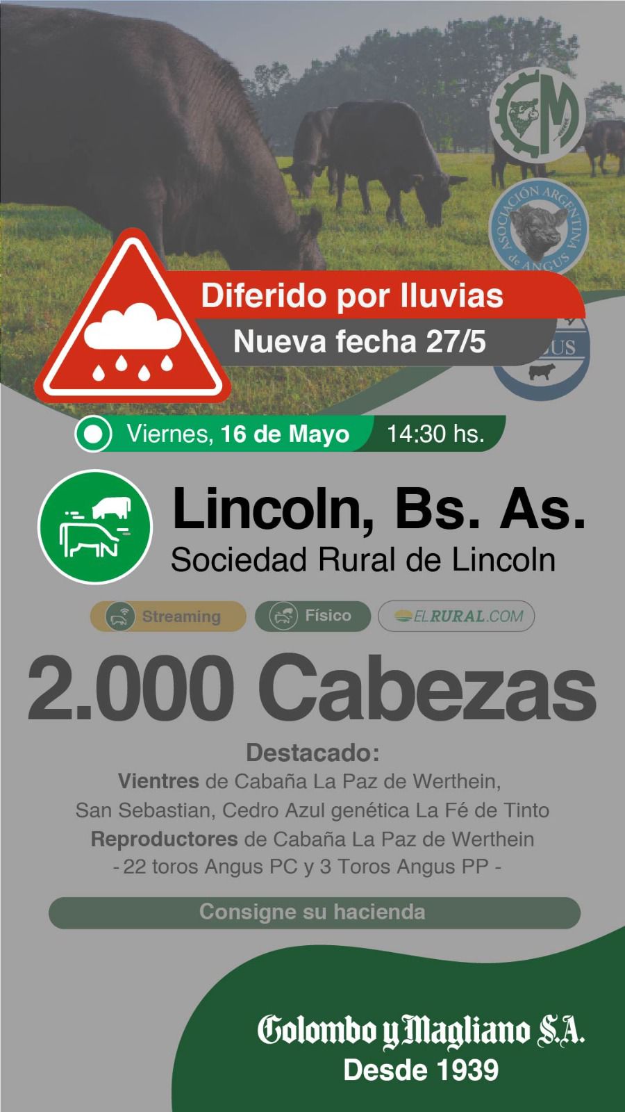 Imagen de Colombo y Magliano